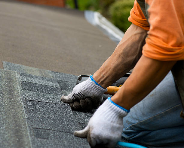 Best Best Roofing Contractors  in Riva, MD